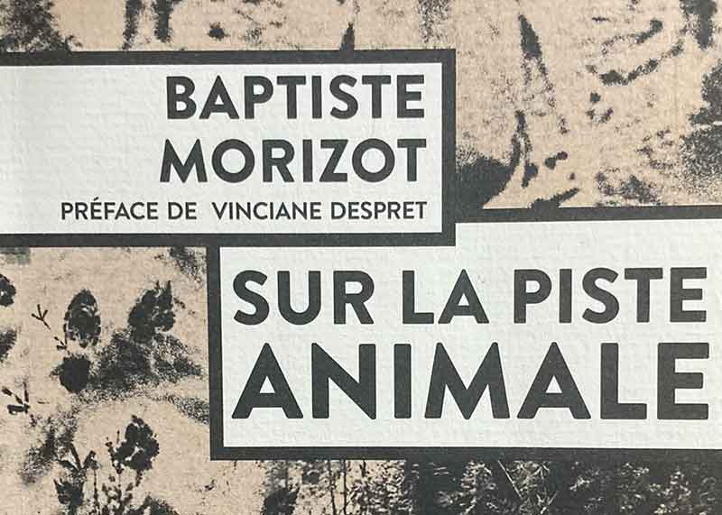Sur la piste animale / Baptiste Morizot