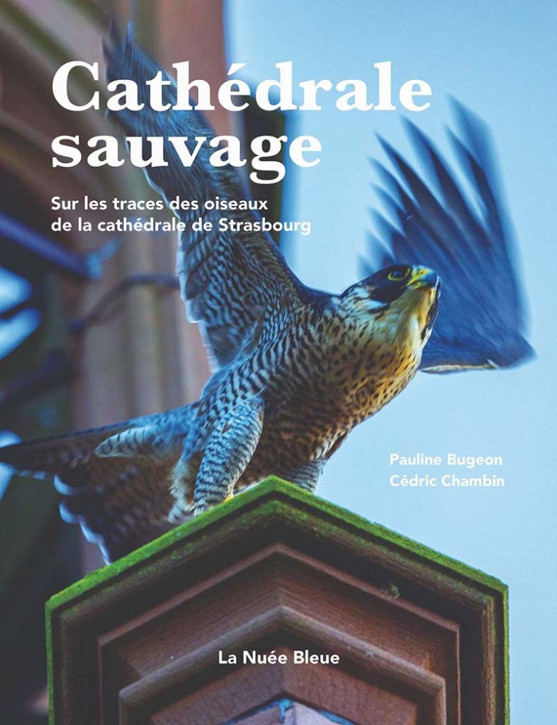 image du livre "Cathédrale sauvage"