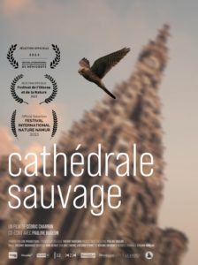 affiche du film cathédrale sauvage